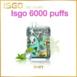 ISGO 6000 Puffs Mint Disposable Vape in Dubai UAE