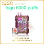 ISGO 6000 Puffs Strawberry Watermelon Ice Disposable Vape in Dubai