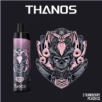 Yuoto Thanos 5000 Puffs Peach Ice Disposable Vape in Dubai UAE