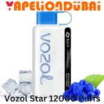 Vozol Star 12000 Puffs Blue Razz Ice