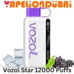 VOZOL STAR 12000 Puffs Grape Ice