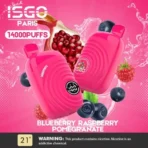 ISGO Paris 14000 Puffs Disposable Vape