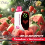 CHILLAX Shake 22000 Puffs Strawberry Watermelon Disposable Vape