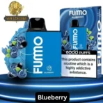 Fummo King 6000 Puffs Blueberry Ice