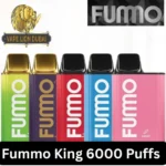 Fummo King 6000 Puffs Disposable Vape with 6000 puffs 650mAh rechargeable battery 13ml pre filled e liquid mesh coil and multiple flavors