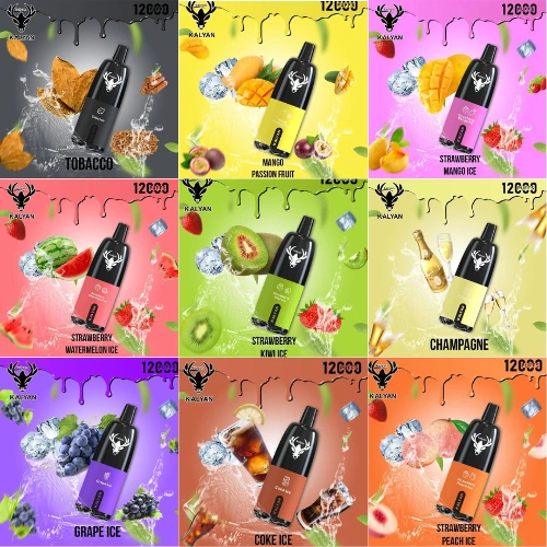 KALYAN Pro 12000 Puffs Disposable Vape