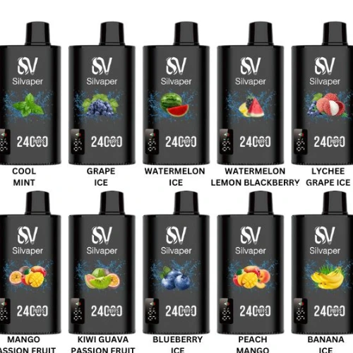 SILVAPER 24000 Puffs Price in Dubai