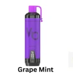 Vapes Bars Ghost Shisha 15000 Puffs Grape Mint in Dubai