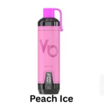 Vapes Bars Ghost Shisha 15000 Puffs Peach Ice in Dubai