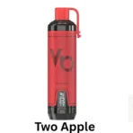 Vapes Bars Ghost Shisha 15000 Puffs Two Apple in Dubai