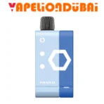 Elf Bar EW9000 Puffs Disposable Prefilled Pod Kit Blue razz Ice in Dubai