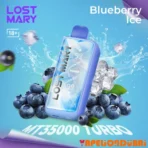 Lost Mary MT35000 Turbo Blueberry Ice