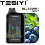 TESIYI Ultra Shisha Max 40,000 Puffs Blueberry Mint
