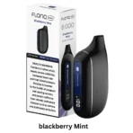 FLONQ Max S 8000 Puffs Blackberry Mint disposable vape