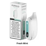 FLONQ Max S 8000 Puffs Fresh Mint disposable vape