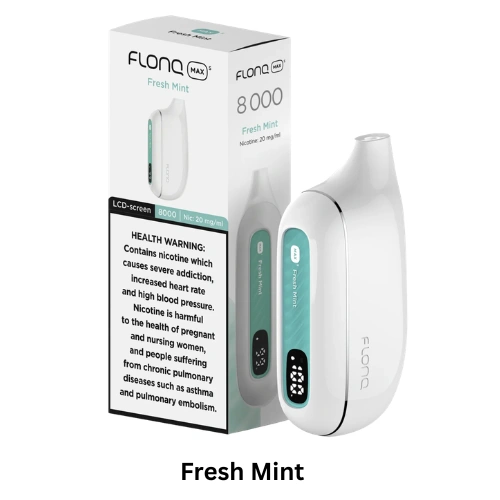 FLONQ Max S 8000 Puffs Fresh Mint disposable vape