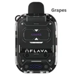 FLAVA Nimmbox 10000 Puffs 30mg Grapes flavor