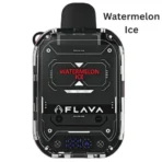 FLAVA Nimmbox 10000 Puffs 30mg Watermelon Ice flavor