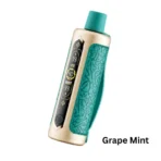 OXBAR Shisha 60000 Puffs Grape Mint disposable vape